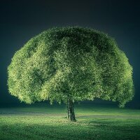 gulcemy profil fotoğrafı