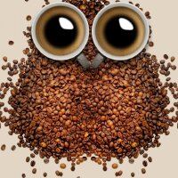 arslanhande profil fotoğrafı