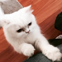 ilknur3479 profil fotoğrafı