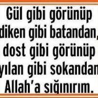 kalbsesi profil fotoğrafı