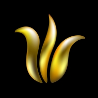 lalegold profil fotoğrafı