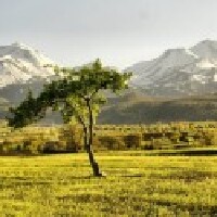 nkaraoglan profil fotoğrafı