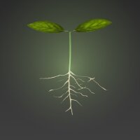 selcukselcuk profil fotoğrafı