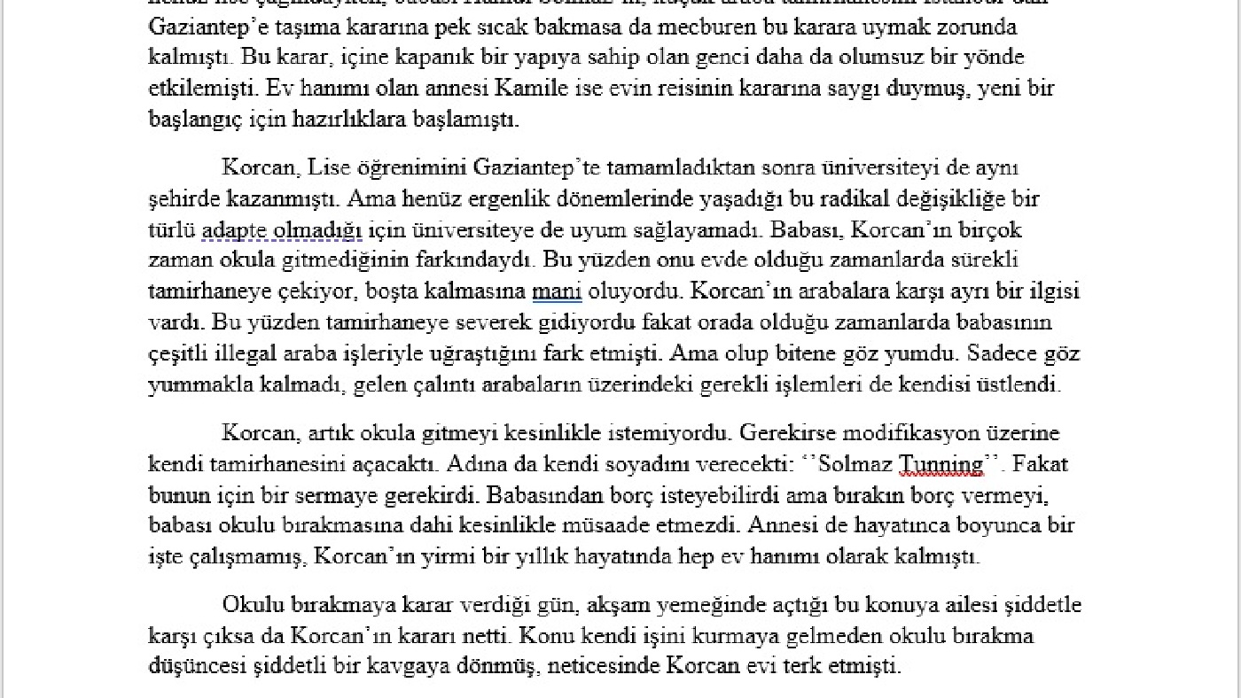 van çift twitter hd eyfel kulesi
