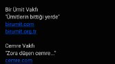 Yardım Vakfı İçin İsim, Slogan ve Domain Bulma İşi 