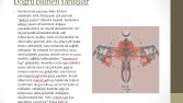 sagligadestek.com - Blog Yazısı