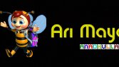 Arı Maya Anaokulları tasarımımız.