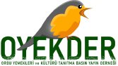 OYEKDER Logo Çalışması