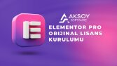 Wordpress Eklenti ve Tema Hizmetleri
