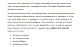 Antik Pazarlar & Meşhur Bit Pazarları