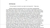 Roman Çalışması