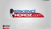 Erkenci Horoz - Kurumsal Logo Tasarımı