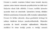 Makale Çalışması