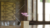 ALOFT_LOGO
