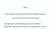 Tez Çevirisi