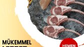 Pişşir Gurme - Bionluk