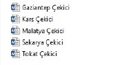 Web Sitesi İçeriği