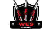 E-spor logo ve instagram post