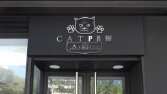 CATPAW Logo Tasarımı