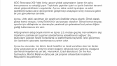 İngilizce-Türkçe Çeviri