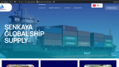 Wordpress Kurumsal Site 