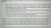 Ölümlü İş Kazası Makale Çalışması