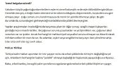 İçerik Yazıları