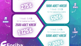 ERCSOFT E-Fatura Paket Tasarımı
