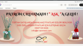 Web tasarım