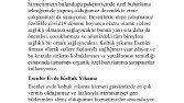 Avrupa Vizyon Temizlik-SEO Uyumlu İçerik