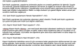 Web Sitesi İçeriği