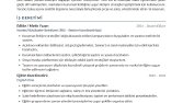 ATS Uyumlu, Modern Profesyonel CV