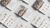 Ehli Lokum Katalog