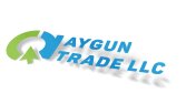 Logo Tasarımı