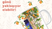 edakucuk portfolyosu 3