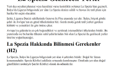 enesozkocak portfolyosu 3