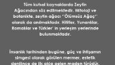 mervebalcioglu portfolyosu 1
