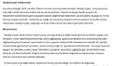 ibodnmz portfolyosu 1