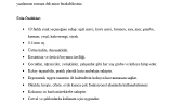 ozge4 portfolyosu 1
