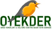 serkankaragoz portfolyosu 3