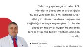 seymayilmazdev portfolyosu 2