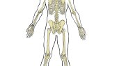 cumayeniceri portfolyosu 4