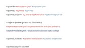 vladasentug portfolyosu 2