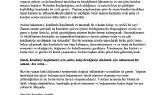 aybegumkarakus portfolyosu 2