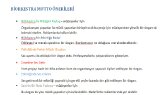 sevindorukyilmaz portfolyosu 2