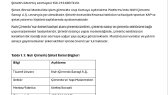 bernabalik1 portfolyosu 2