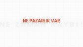 mehmetaliklc1 portfolyosu 3