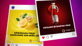 creamaxi portfolyosu 2