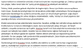 evrenerarslan portfolyosu 3