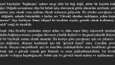 henaozalp portfolyosu 3